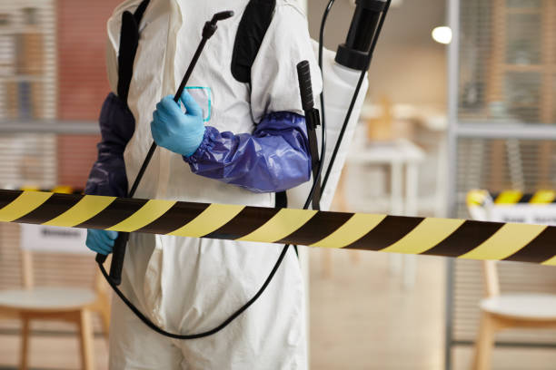 Professional Sewage Cleanup technician working in Cedarville, OH
